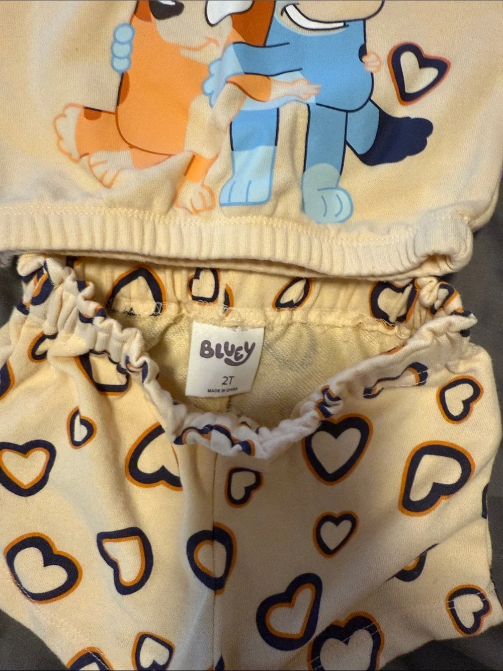 Bluey Girl Toddler Set